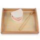 thumbnail image 4 of Cepillo de dientes modelo MEROCO Montessori Practical Life para niños, 4 of 8