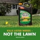thumbnail image 4 of Eliminador de maleza Spectracide Weed Stop para céspedes con crabgrass 5 L, 4 of 9