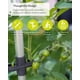 thumbnail image 3 of Plantadora vertical de tomates BUZZY Seeds con riego automático y enrejado, 3 of 9