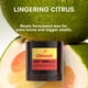 thumbnail image 2 of Candle Boy Smells Citrus, aroma cítrico brillante, 265 ml, vegano, 2 of 8
