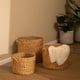 thumbnail image 2 of Canasto Solea L, 2 of 9