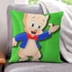 thumbnail image 1 of El Show de Porky Pig Fundas de almohada de terciopelo con tema, regalos de funda de almohada, decoración para el hogar, cojín de lanzar, regalo de cumpleaños para fans y parejas.40*40cm., 1 of 6