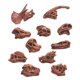 thumbnail image 3 of Modelo De Calavera De Dinosaurio Fósil Simulado Decoración Del Hogar Utilería De Enseñanza Decorativa Marrón, 3 of 5