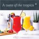 thumbnail image 5 of Vasos Hurricane Vikko Piña Colada 460 ml Juego de 4, 5 of 6
