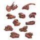 thumbnail image 4 of Modelo De Calavera De Dinosaurio Fósil Simulado Decoración Del Hogar Utilería De Enseñanza Decorativa Marrón, 4 of 5