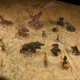 thumbnail image 5 of Alfombra de batalla WizKids D&D Icons of The Realms Desert de 3 x 5 pies, 5 of 7