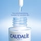 thumbnail image 5 of Set de cuidado de la piel Caudalie Vinoperfect Dark Spot Serum SPF 50, 5 of 9