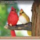 thumbnail image 4 of Abrazador de árboles «Par de cardenales» de Yard Decorations Bits and Pieces, 4 of 8