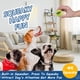 thumbnail image 3 of Paquete de 20 pelotas de tenis para perros, tamaño pequeño, 5 cm, Squeaky, 3 of 8