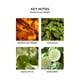 thumbnail image 3 of Candle NEST Fragrances NEST03MA003 Ámbar marroquí de 3 mechas, 625 ml, 3 of 6
