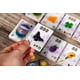 thumbnail image 4 of Juego de mesa Asmodee Carnuta: estrategia de preparación de pócimas, 10+ años, 4 of 6
