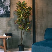 Vadell Home - Crotón De 160 Cm