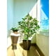 thumbnail image 3 of Planta Artificial Decorativa Arbol Grande Pack Ficus 120cm, 3 of 6