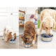 thumbnail image 4 of Inserto Para Plato Alimentador Lento Perros Y Gatos Spiral, 4 of 6