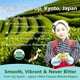 thumbnail image 3 of Matcha En Polvo Orgánico Japonés De Grado Ceremonial Té Verde Uji Matcha De Kioto, 3 of 9