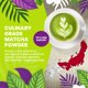 thumbnail image 2 of Matcha japonés orgánico Tea Cederberg Tea Company 113 g, 2 of 5