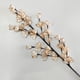 thumbnail image 2 of Ramo natural brotes beige 90 cm, 2 of 4