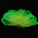 thumbnail image 4 of Adorno de coral Besimple 7 × 9 cm con efecto luminoso – Amarillo, 4 of 7