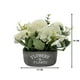 thumbnail image 5 of Planta Artificial Macetero De Cemento Flowers And Plants blanco, 5 of 8
