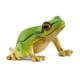 thumbnail image 1 of Figura de juguete Schleich Wild Life European Tree Frog de 3 años o más, 1 of 6