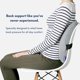 thumbnail image 2 of Almohada lumbar C CUSHION LAB con soporte ergonómico extra denso, 2 of 9