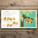 thumbnail image 4 of Origami para Niños de Editorial Blume, 4 of 7