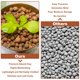 thumbnail image 4 of Guijarros de arcilla expandida Riare, 1 kg, orgánicos, 4 mm a 16 mm, para plantas, 4 of 7