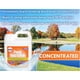thumbnail image 4 of Bacterias para estanque Pond Worx 15 L para fuentes de agua, seguro para koi, 4 of 8