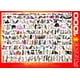 thumbnail image 3 of Rompecabezas EuroGraphics World of Cats de 1000 piezas, 3 of 3