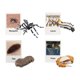 thumbnail image 1 of Figuritas De Ciclo De Vida Juguete Educativo Realista Para Favores De Fiesta Skeeter, 1 of 5