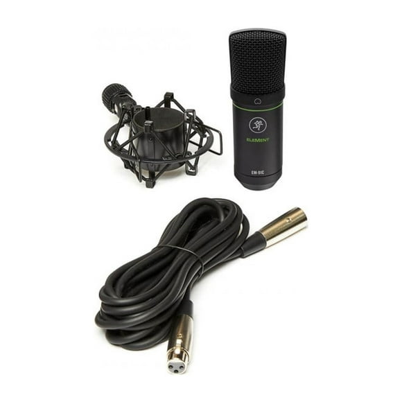 Micrófono Estudio Con Accesorios / Em91C