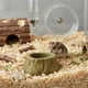 thumbnail image 2 of Timothy Snack Bowl Para Roedores Conejos Hamster Cobaya 200g, 2 of 8