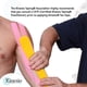 thumbnail image 4 of Cinta deportiva terapéutica Kinesio Tex Gold Light Touch, 4 of 6