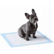 thumbnail image 1 of 100 Pañales Tipo Sabanillas Mascotas Perros 45x60 Cms, 1 of 2