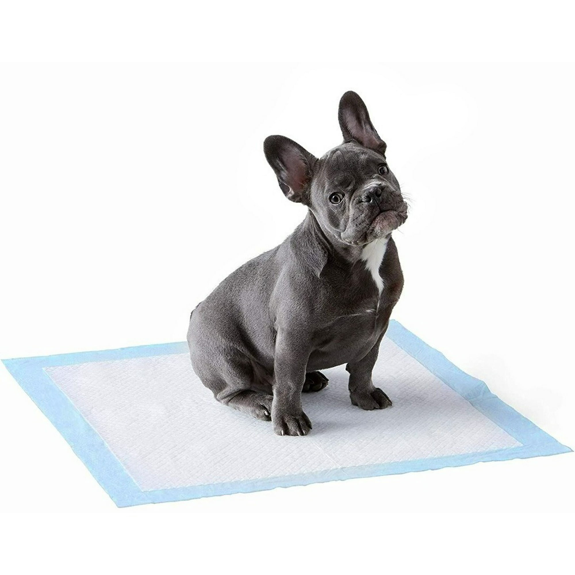 Bj Hogar - 100 Pañales Tipo Sabanillas Mascotas Perros 45x60 Cms