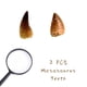 thumbnail image 4 of Fabrvog Fossiles de Dientes de Mosasaurus – 2 piezas con caja y lupa, 4 of 5