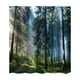 thumbnail image 1 of Cortinas De Ducha Impermeables 70,87x70,87 Pulgadas Para Felpudo Baño Bosque, 1 of 5