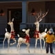 thumbnail image 1 of Set Decoración Exterior Dunchaty Renos Navideños LED 3 Piezas, 1 of 3