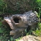 thumbnail image 5 of Refugio para peces tipo tronco falso Aquascape para estanque, 5 of 5