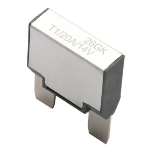 Bothyi - Accesorio De Disyuntor Térmico T1 De Reinicio Automático, Ligero, Unipolar, 20A