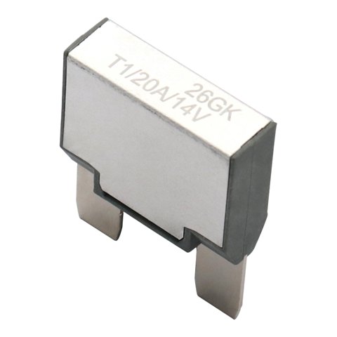 Bothyi - Accesorio De Disyuntor Térmico T1 De Reinicio Automático, Ligero, Unipolar, 20A