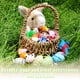 thumbnail image 4 of Finger Puppets RIY Old Macdonald Had A Farm, 10 unidades para niños, 4 of 7
