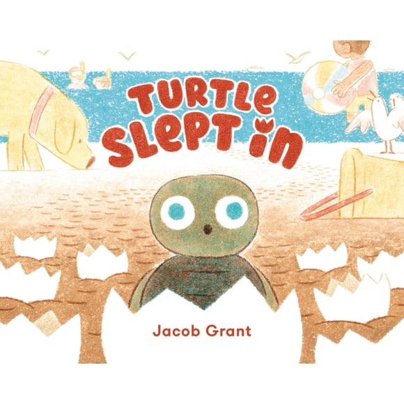 Libro Turtle Slept In de Viking Drill & Tool