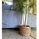 thumbnail image 3 of Macetero Canasto Rama 35x 30 cm, 3 of 3