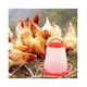thumbnail image 5 of Comederos Gallinas Comedero Pollitos Comedero Gallina 1.5kg, 5 of 5