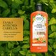 thumbnail image 3 of Acondicionador Renew White Grapefruit & Mint, 400 ml, 3 of 6