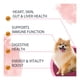 thumbnail image 2 of Nutridog Pet Probiotix Probioticos Skin Care Vitamina Perros, 2 of 7