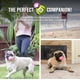 thumbnail image 3 of Pelotas de tenis Hyper Pet MINI para perros con K9 Kannon MINI Pink, paquete de 4, 3 of 7