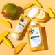 thumbnail image 4 of Champú Klorane Nutritivo con Manteca de Mango 400 ml, 4 of 6