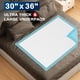 thumbnail image 2 of Almohadillas desechables BIGMED, resistentes a la rotura, 30 x 36 cm, 100 unidades, 2 of 7
